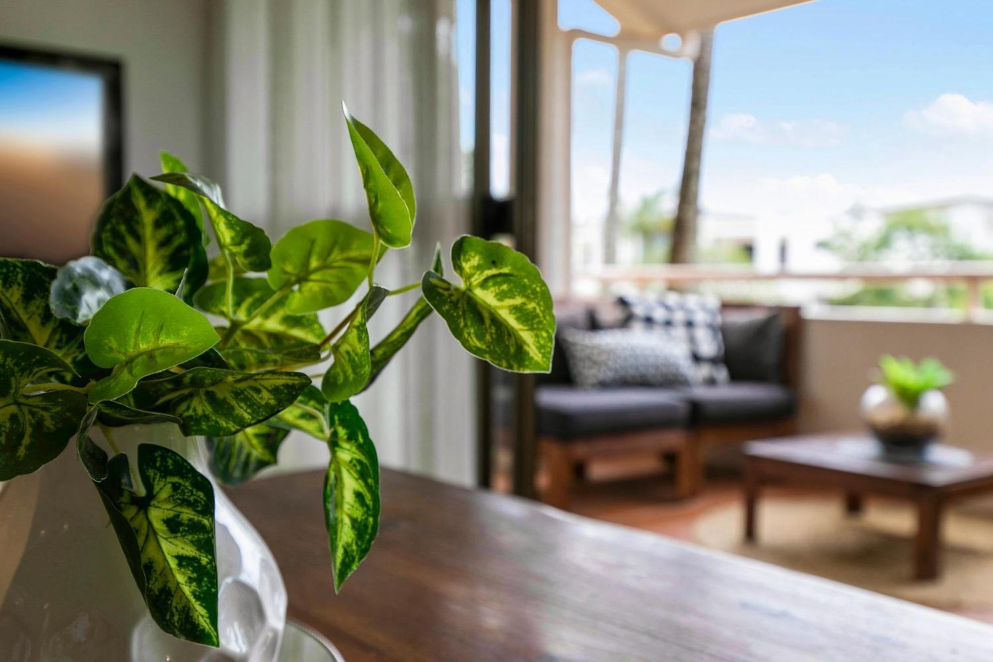 The Noosa Apartments Экстерьер фото
